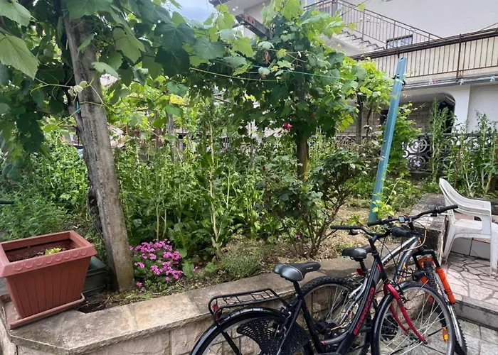 アパート Celestina *