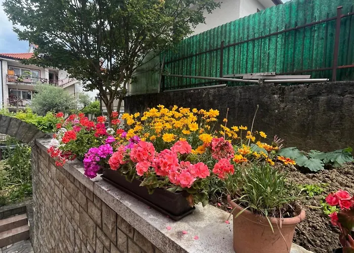 アパート Celestina *